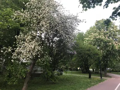 Ogród w obiekcie Apartament MetroMarymont
