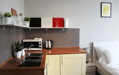 Kuchnia lub aneks kuchenny w obiekcie Noctis Apartment Nowogrodzka