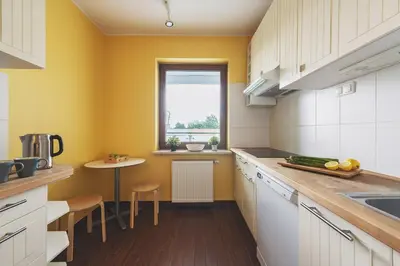 Kuchnia lub aneks kuchenny w obiekcie P&O Apartments Namyslowska