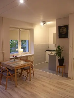 Kuchnia lub aneks kuchenny w obiekcie Murano Apartaments City Center