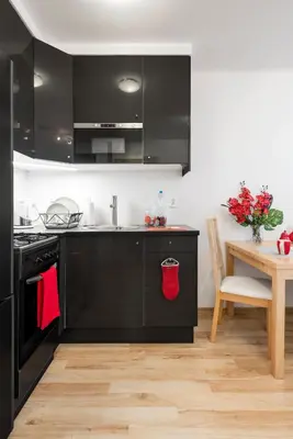 Kuchnia lub aneks kuchenny w obiekcie Apartment Saski Garden Marszalkowska street