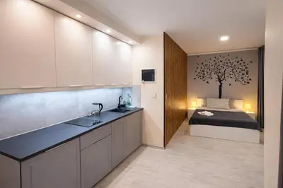 Kuchnia lub aneks kuchenny w obiekcie MOKO Apartment II