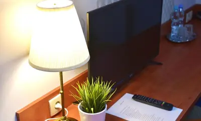 Telewizja i/lub zestaw kina domowego w obiekcie Hotel Złote Dęby