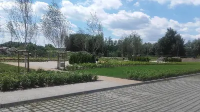 Ogród w obiekcie Platinum Hotel&Residence Wilanów