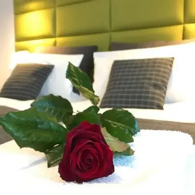 Premium Apartment - Chopin AirPort