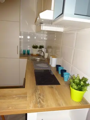 Kuchnia lub aneks kuchenny w obiekcie Apartament Nikola