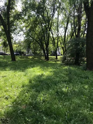 Ogród w obiekcie Royal Garden Apartment