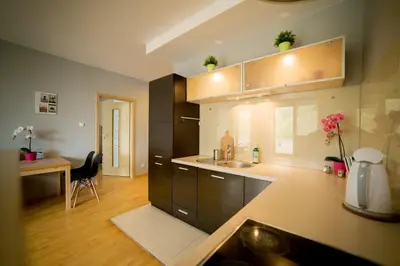 Kuchnia lub aneks kuchenny w obiekcie Dekart Arkadia Apartments