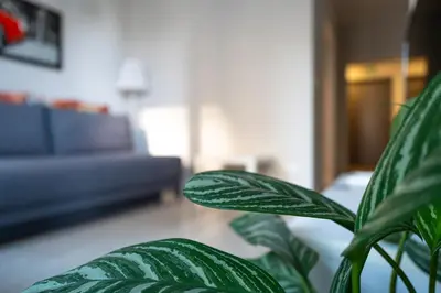 Część wypoczynkowa w obiekcie Airport Residence Green