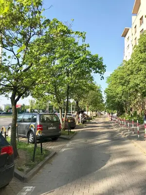 Okolica w pobliżu tego apartamentu