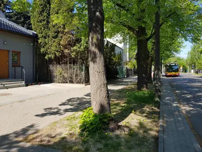 Okolica w pobliżu tego apartamentu