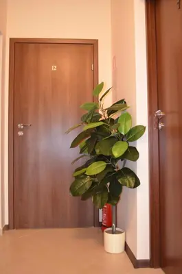 Plan piętra w obiekcie Camping Motel WOK