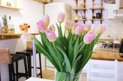Kuchnia lub aneks kuchenny w obiekcie Cozy and great location by Cooee Apartments