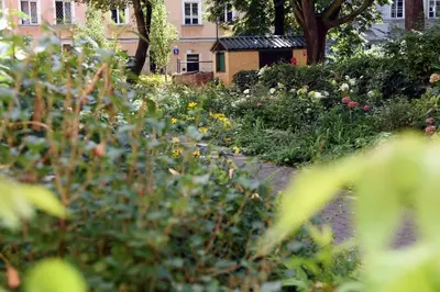 Ogród w obiekcie Old Town Studio Apartment