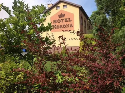 Ogród w obiekcie Hotelik Korona