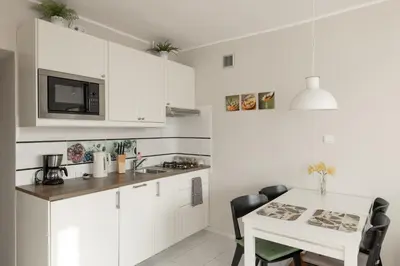 Kuchnia lub aneks kuchenny w obiekcie Przytulny Apartament przy Teatrze Wielkim