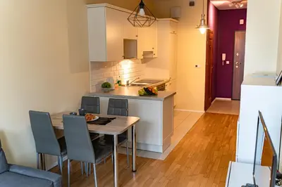 Kuchnia lub aneks kuchenny w obiekcie Apartamenty Triton Park