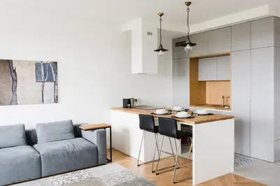 Kuchnia lub aneks kuchenny w obiekcie LuxLux Apartments Silver Dove