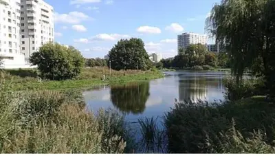 Widok na rzekę nieopodal tego apartamentu