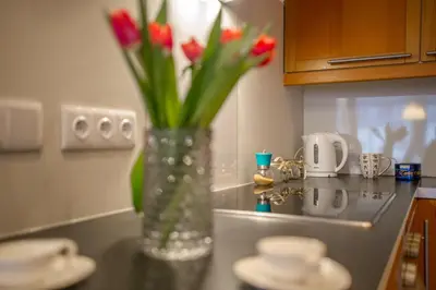 Kuchnia lub aneks kuchenny w obiekcie Apartament New Praga near to metro, free parking