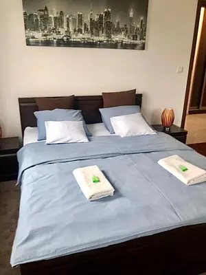 Łóżko lub łóżka w pokoju w obiekcie Apartament H&P Silver