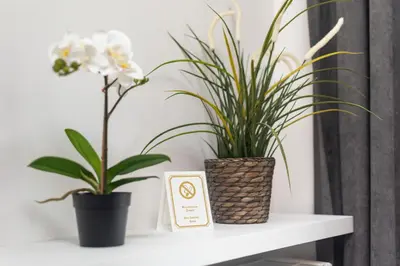 Plan piętra w obiekcie BG Apartments Grzybowska