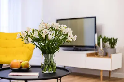 Telewizja i/lub zestaw kina domowego w obiekcie VIDOC APARTMENTS