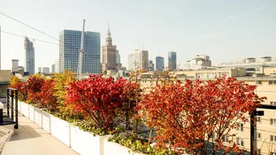 Widok na miasto Warszawa z tego aparthotelu