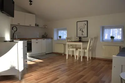 Kuchnia lub aneks kuchenny w obiekcie Apartamenty Coco Premium Saska Kępa