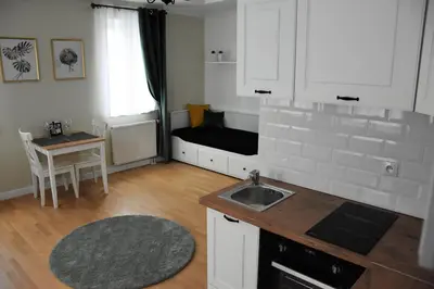 Kuchnia lub aneks kuchenny w obiekcie Apartamenty Coco Premium Saska Kępa