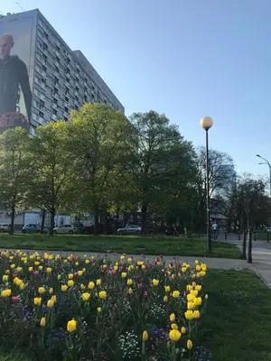 Ogród w obiekcie Warsaw View Apartment