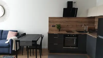 Kuchnia lub aneks kuchenny w obiekcie Quo Vadis Apartment
