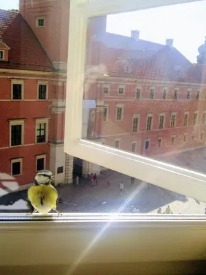 Balkon lub taras w obiekcie Royal Warsaw Apartment
