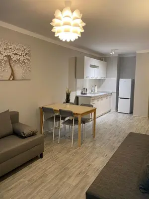 Kuchnia lub aneks kuchenny w obiekcie Coser Apartamenty Metro ONZ