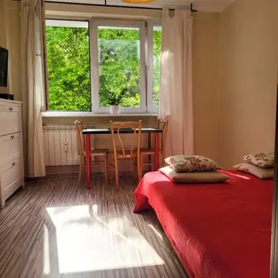 Sunny and lovely apartment. Near Chopin Airport!