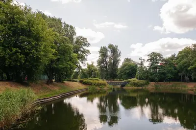 Przyroda w pobliżu tego apartamentu