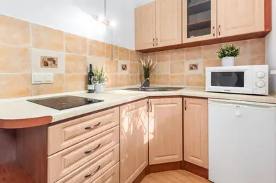 Kuchnia lub aneks kuchenny w obiekcie Apartments Wilcza 55 by Noclegi Renters