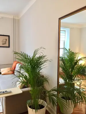 Plan piętra w obiekcie Beautiful apartment in the heart of Warsaw, Poznanska
