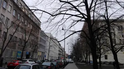 Plan piętra w obiekcie Klimatyczna kawalerka w centrum Warszawy