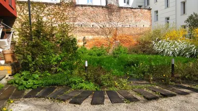 Ogród w obiekcie Szmulson