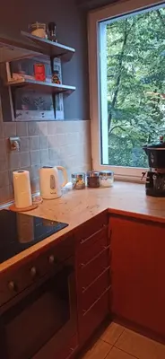 Kuchnia lub aneks kuchenny w obiekcie Top Apartamenty Centrum - Metro Rondo ONZ