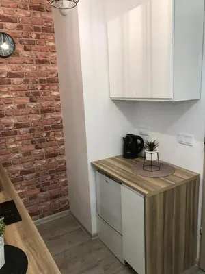 Kuchnia lub aneks kuchenny w obiekcie Apartamenty Brzeska 10