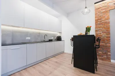 Kuchnia lub aneks kuchenny w obiekcie City Break Atelier Praga Apartamenty