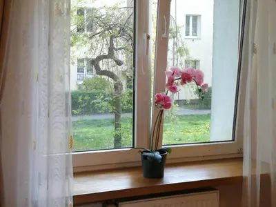 Ogród w obiekcie Travel Apartment