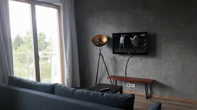 Telewizja i/lub zestaw kina domowego w obiekcie Silver Apartment in Wilanów