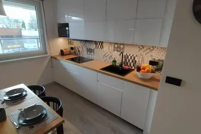 Kuchnia lub aneks kuchenny w obiekcie Modern Home Moldawska