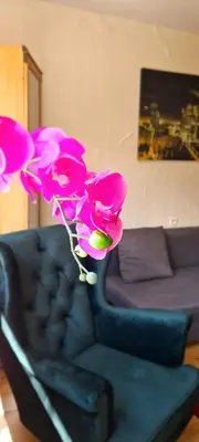 Część wypoczynkowa w obiekcie Apartament w Centrum Warszawy I