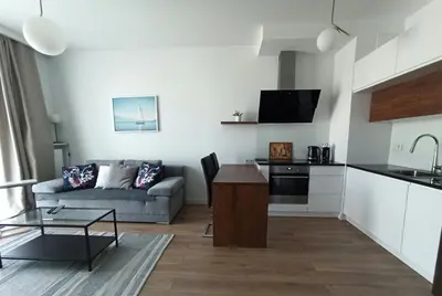Kuchnia lub aneks kuchenny w obiekcie Cozy Apartment in Wilanów