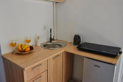 Kuchnia lub aneks kuchenny w obiekcie Regem Apartments Płońska