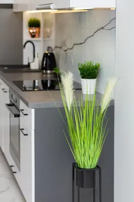 Kuchnia lub aneks kuchenny w obiekcie Stylish & Modern Apartments Praga by Noclegi Renters